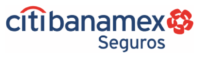 Seguro citibanamex